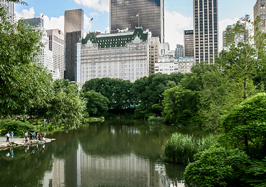 Central Park