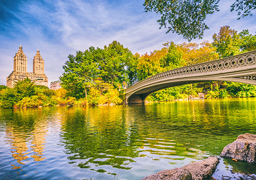 Cycle Through Central Park